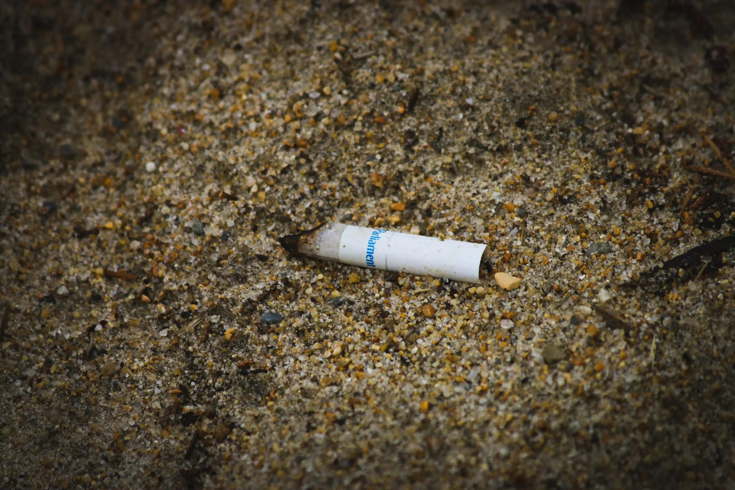 Impact des mégots sur les océans