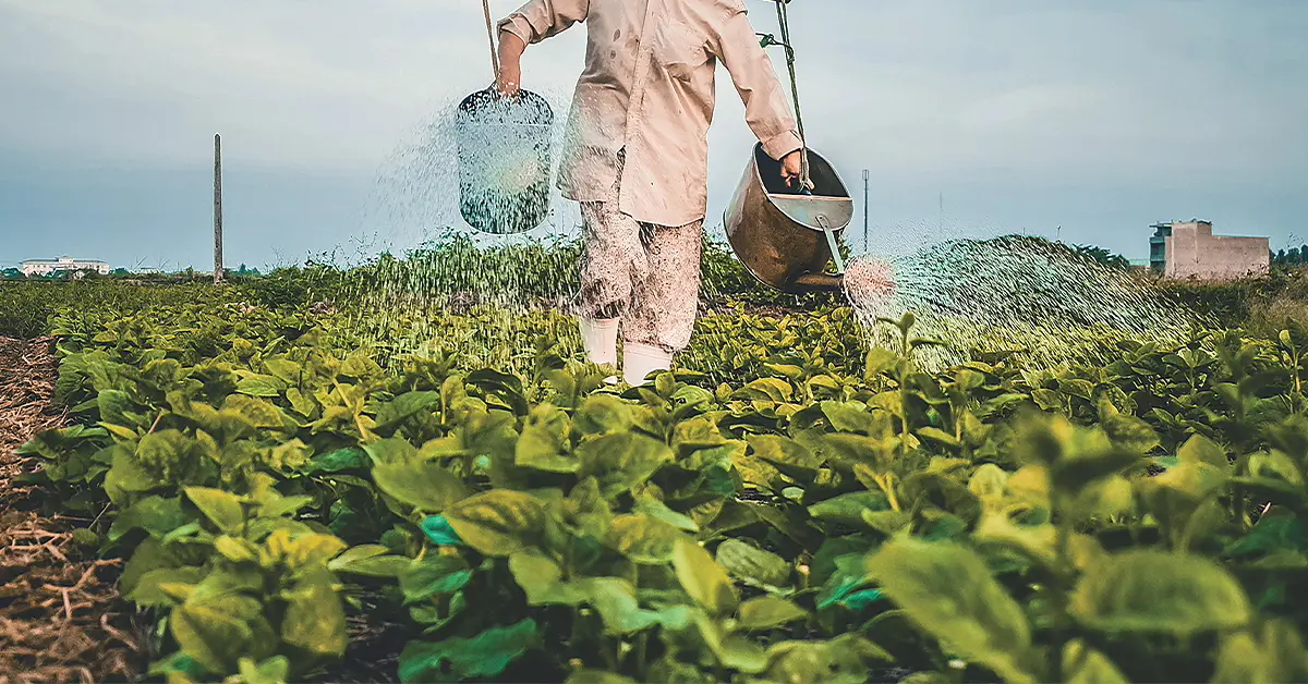 L'impact écologique de la cigarette sur l'environnement