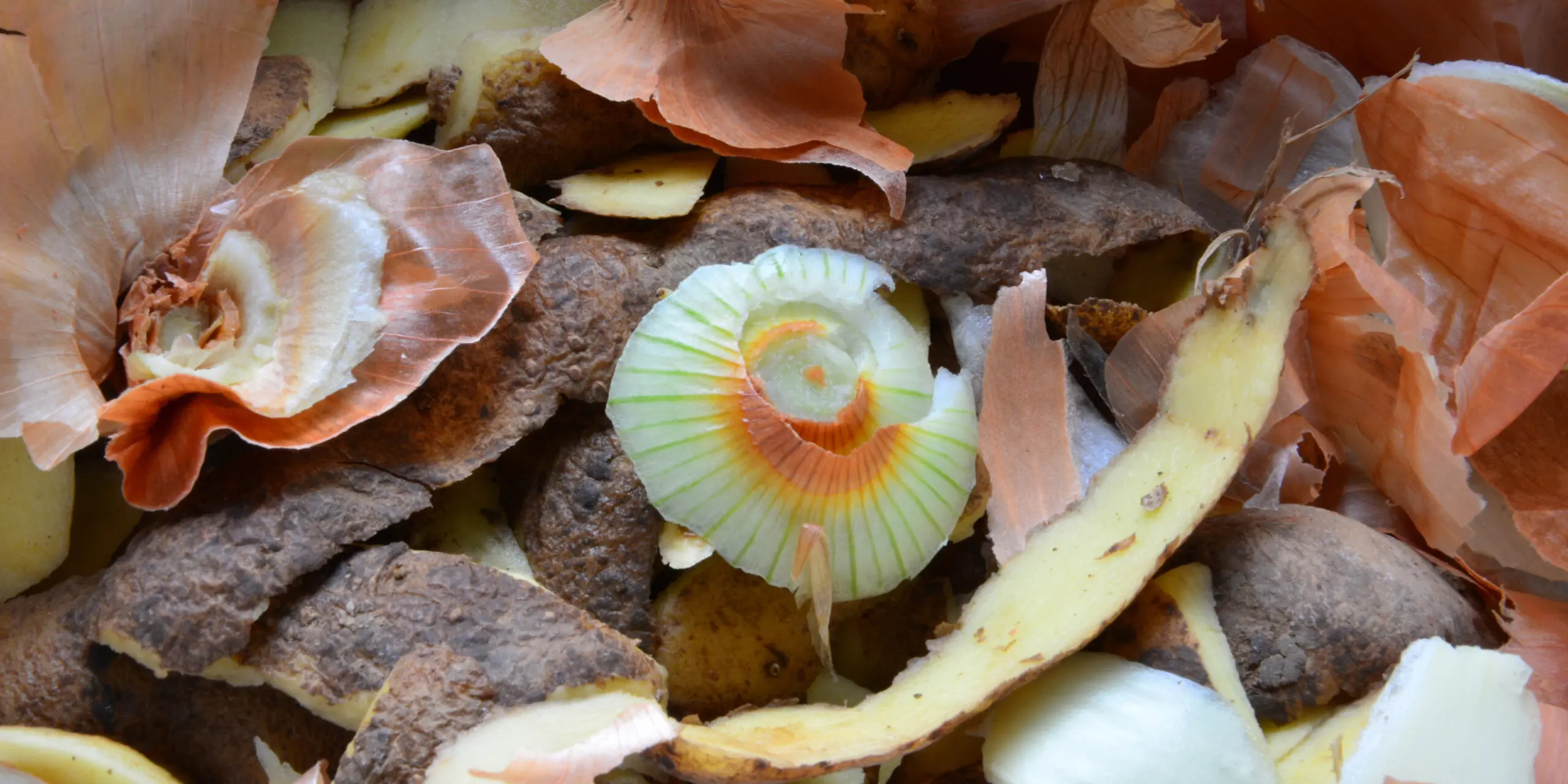 Réglementation sur les biodéchets - savoir faire le tri à la source.