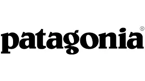 Patagonia exemple rse entreprise
