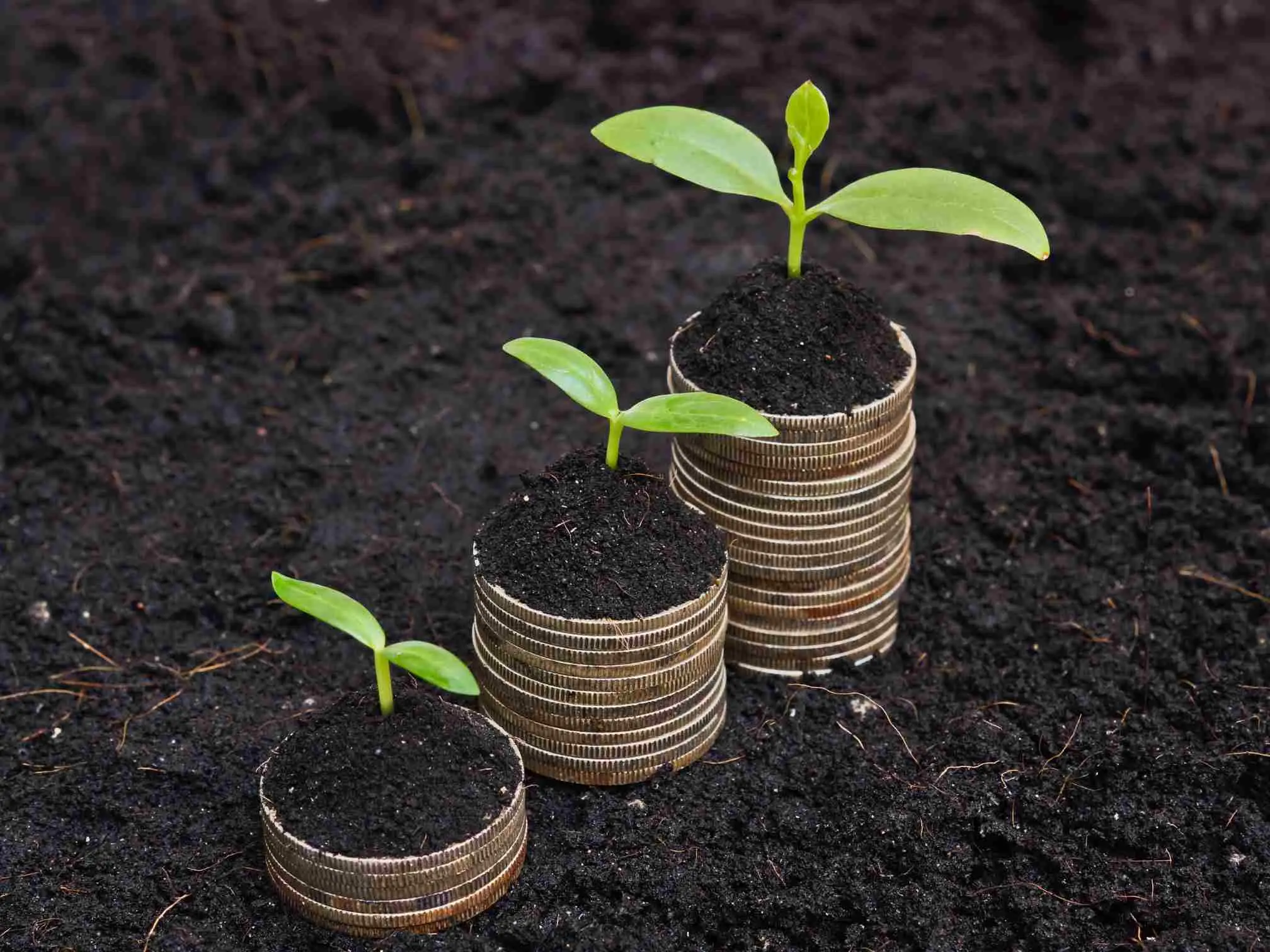 Des actions RSE à mettre en place en entreprise