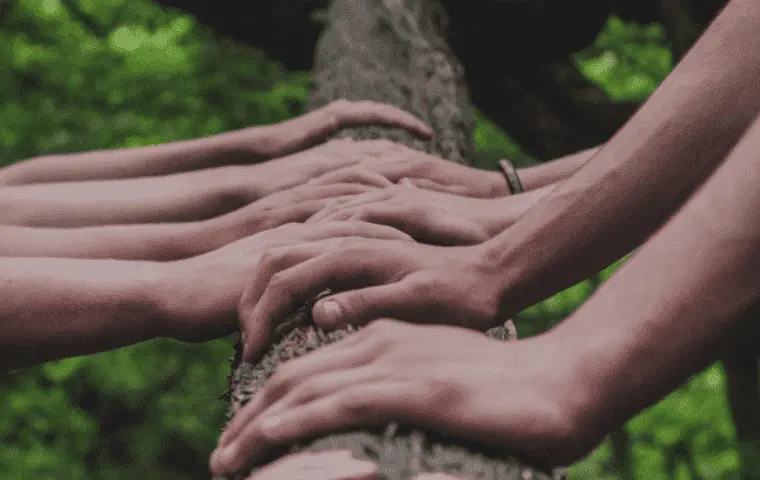 Entreprise et environnement - actions