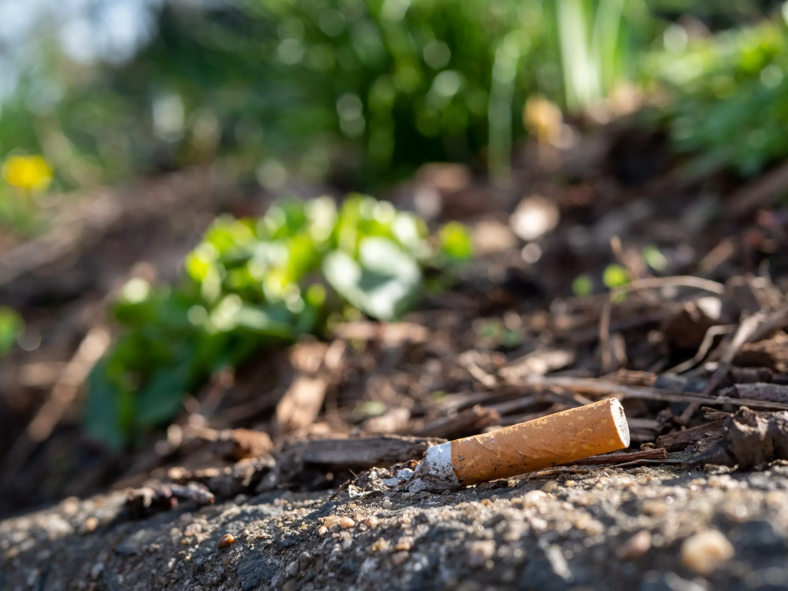 Les composés toxiques du mégot de cigarette
