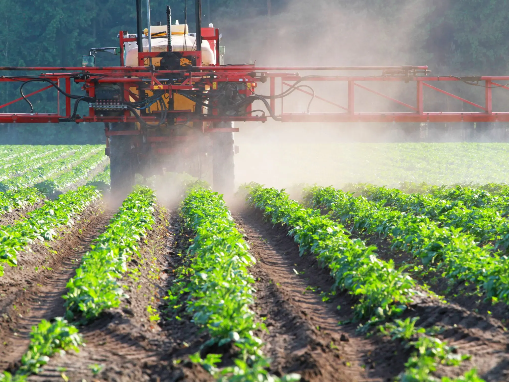 Pesticides plante du tabac