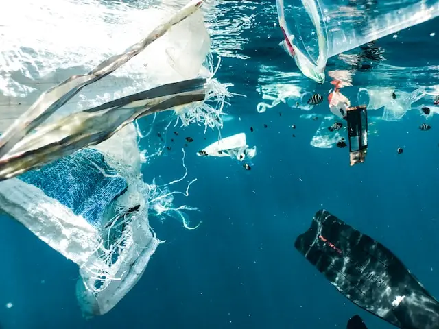 Les déchets les plus répandus en mer