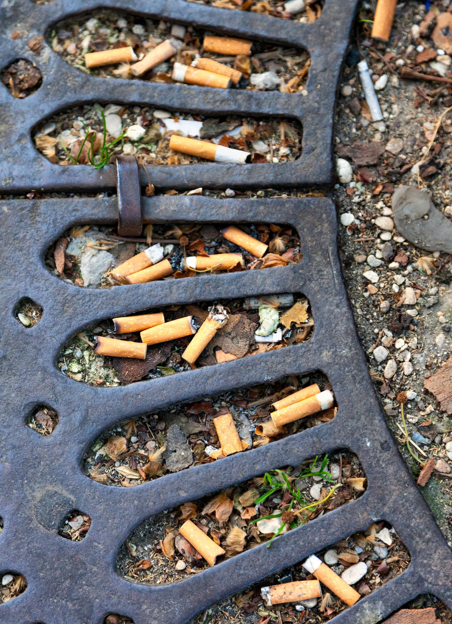 pollution des mégots au sol