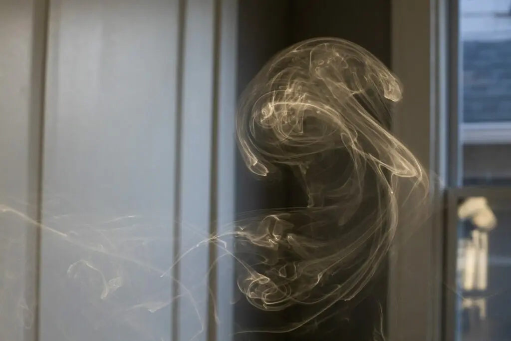 L'industrie du tabac est un des pires désastre pour la planète