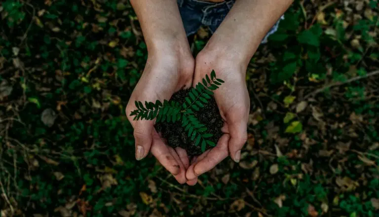 Responsabilité sociétale des entreprises - RSE