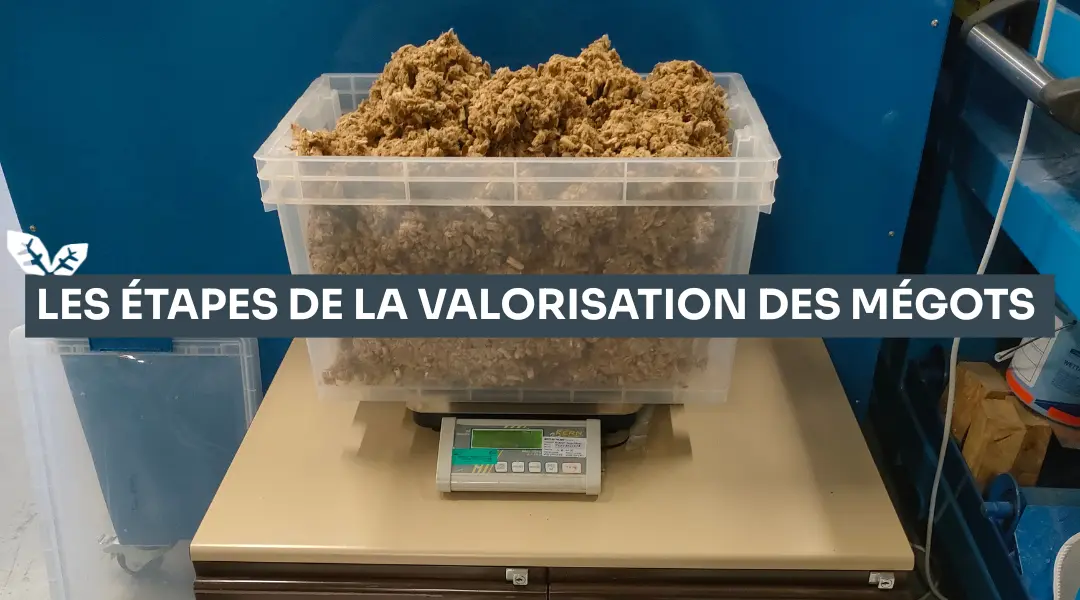 Les étapes pour valoriser les mégots de cigarette.