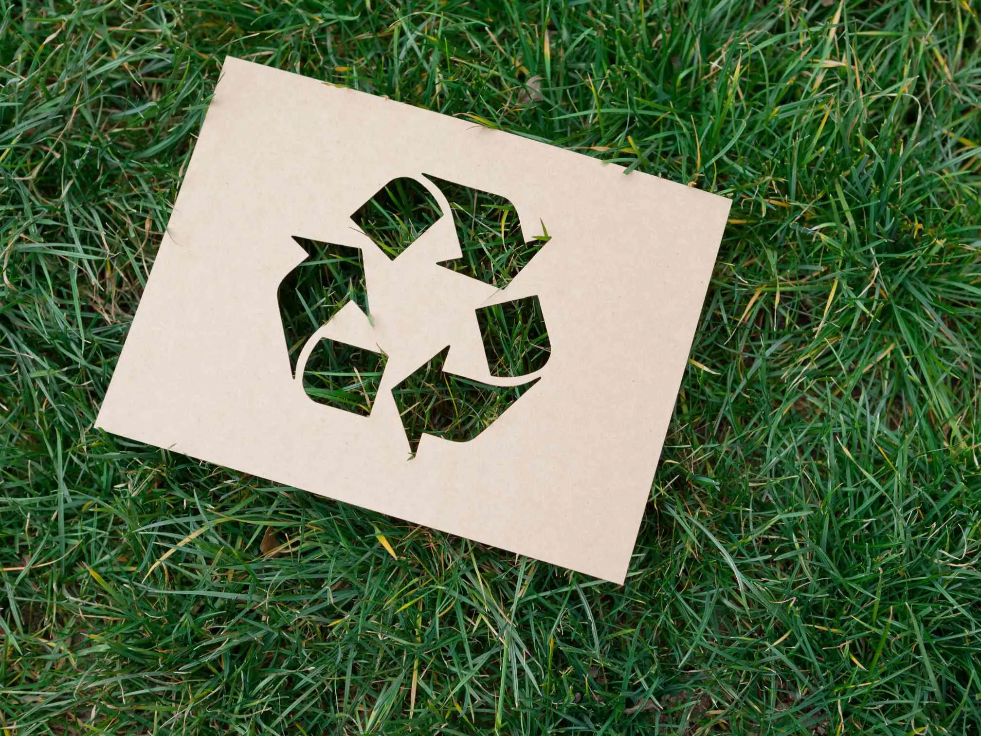 Comment vous pouvez recycler vos mégots ?