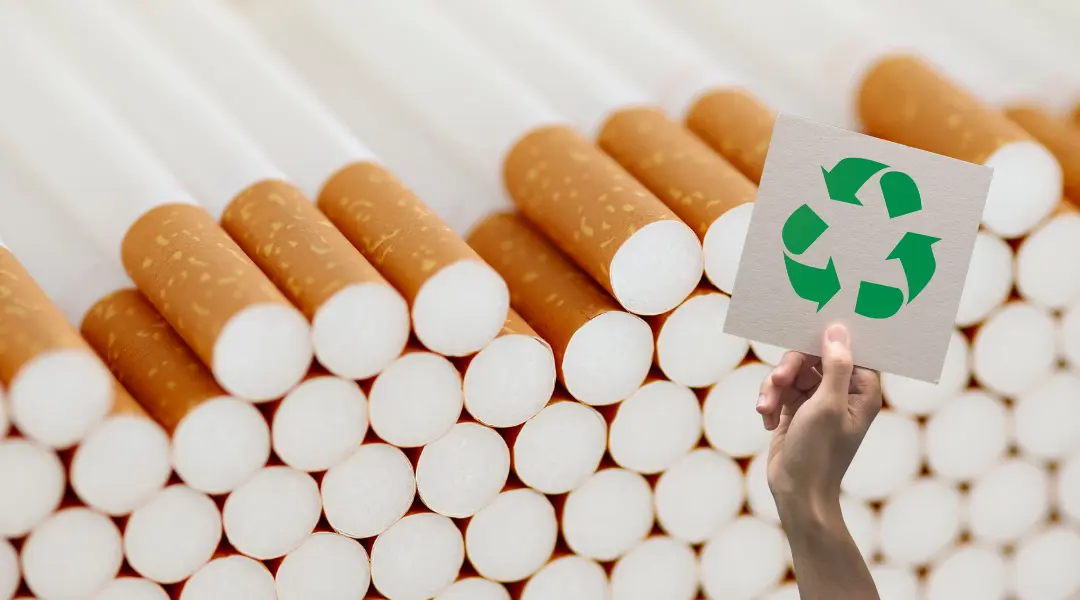 Les filtres de cigarette peut ils être biodégradables?